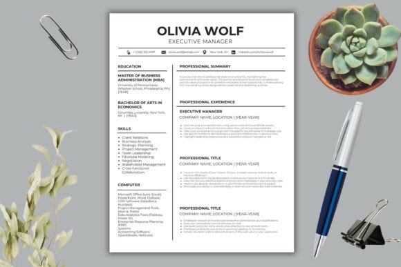 Download Professional Resume Canva Templates - Template Collection